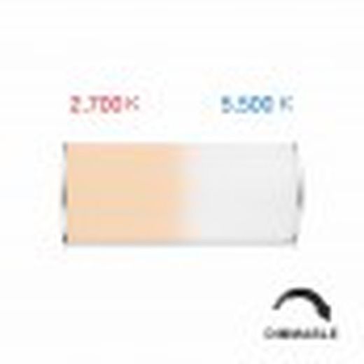 Lámpara portatil Converse 2,5W 360º LED