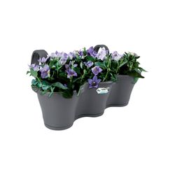 Maceta Corsica easy hanger trio para balcón color antracita Elho®