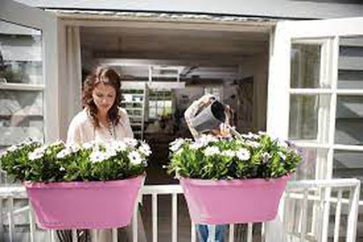 Maceta Corsica flower bridge 60cm balcón color violeta Elho®