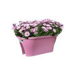 Maceta Corsica flower bridge 60cm balcón color violeta Elho®