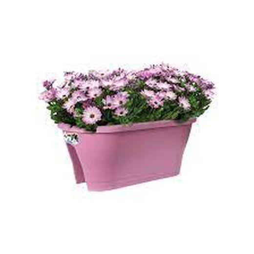 Maceta Corsica flower bridge 60cm balcón color violeta Elho®