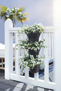 Maceta Corsica vertical set 24cm color antracita Elho®
