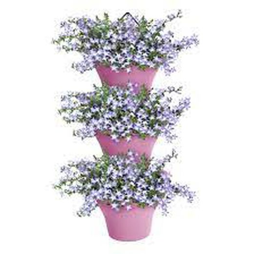 Maceta Corsica vertical set 24cm color violeta Elho®