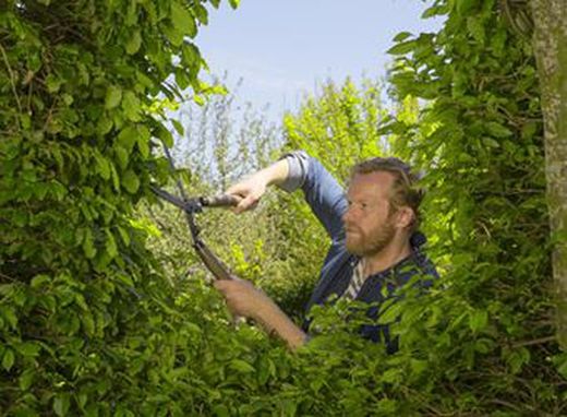 Cortasetos naturecut Gardena