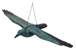 Cuervo espantapájaros Stocker