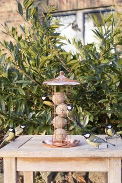 Dispensador de Suetball Cobeado