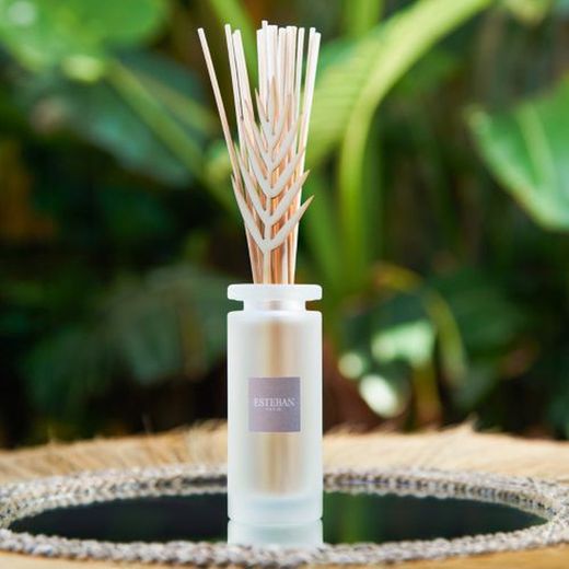 Esteban Bouquet Perfumado Inicial Recargable 100ml