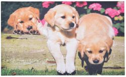 Felpudo antideslizante perrito