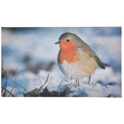 Felpudo antideslizante robin
