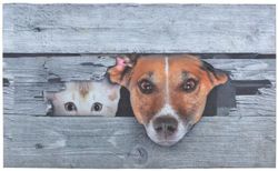 Felpudo imagen de perros y gatos