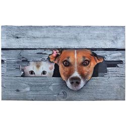 Felpudo imagen de perros y gatos