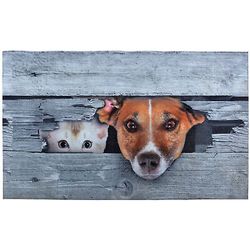 Felpudo imagen de perros y gatos