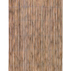 Cañizo Fency Twin 1x3m imitación madera natural Nortene