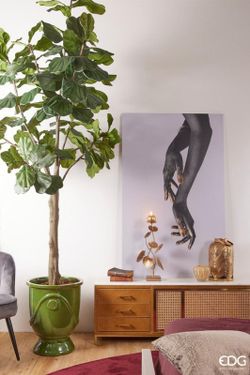 Ficus Lyr. Planta c/vaso H275 (144FG) B8 Verde
