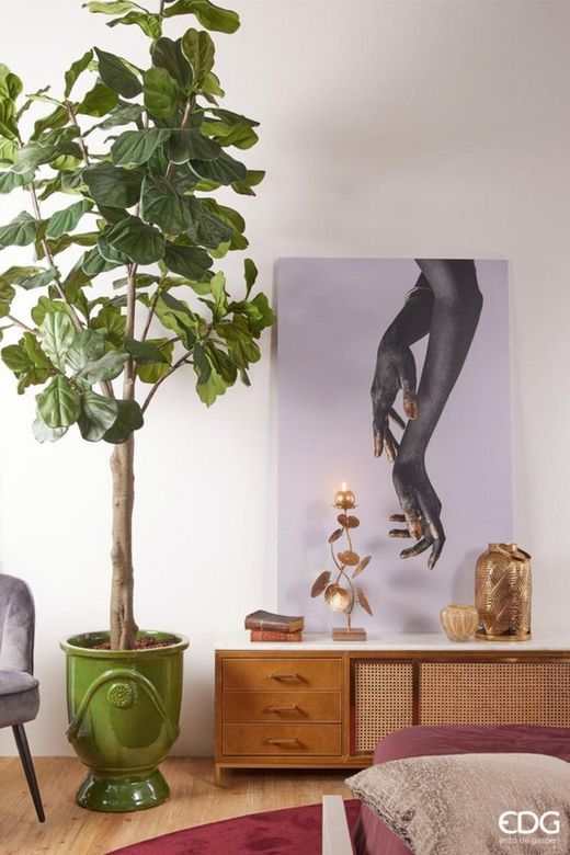 Ficus Lyr. Planta c/vaso H275 (144FG) B8 Verde