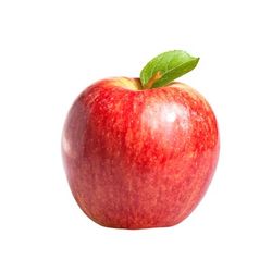 Frutal Enano Manzano C-24 ITALIA