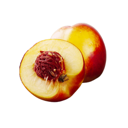 Frutal Enano Nectarina C-24 ITALIA