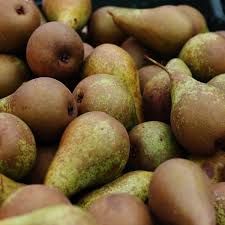 Frutal Enano Pera C-24 ITALIA