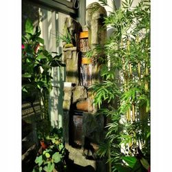 Fuente led poliresina xl 44x55x195cm Lumineo