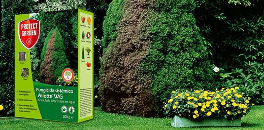 Fungicida Aliette WG 500gr