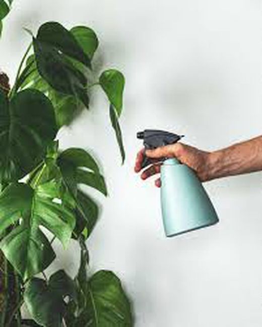 Garden Club Hand Sprayer Colores