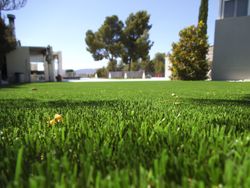 Gespa artificial Borneo 35 de Albergrass