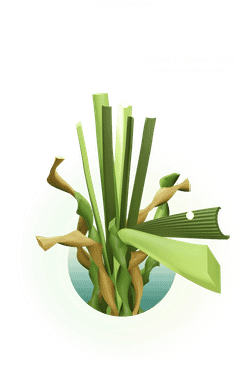 Gespa artificial Discover de Albergrass