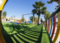 Gespa artificial Discover de Albergrass