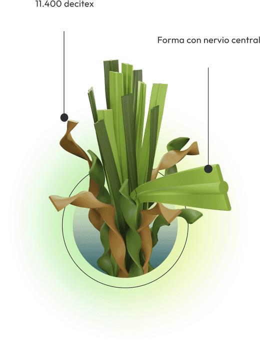 Gespa artificial Tempo de Albergrass