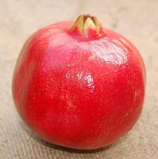 Granado Acco C-26 ITALIA