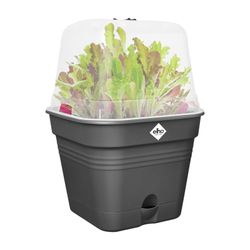Green Basics Growpot Square All In 1