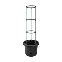 Basics Tomato pot 33cm color negro Elho®