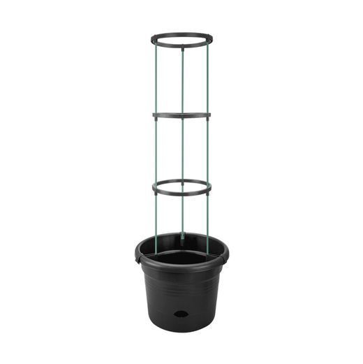 Basics Tomato pot 33cm color negro Elho®