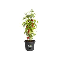 Basics Tomato pot 33cm color negro Elho®