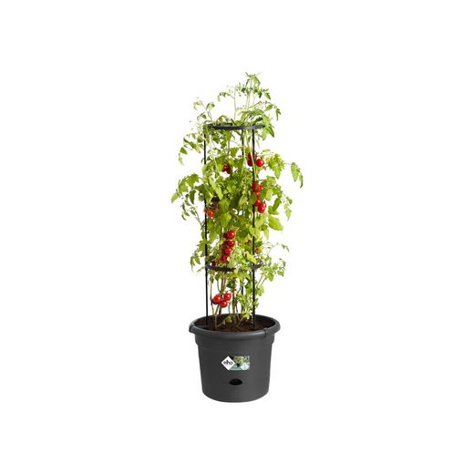 Basics Tomato pot 33cm color negro Elho®