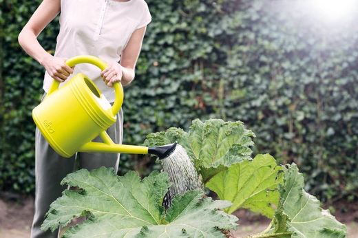 Green basics watering can 10 Elho®
