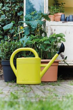 Green basics watering can 10 Elho®
