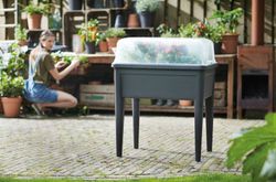 Green basics grow house XXL color transparente Elho®