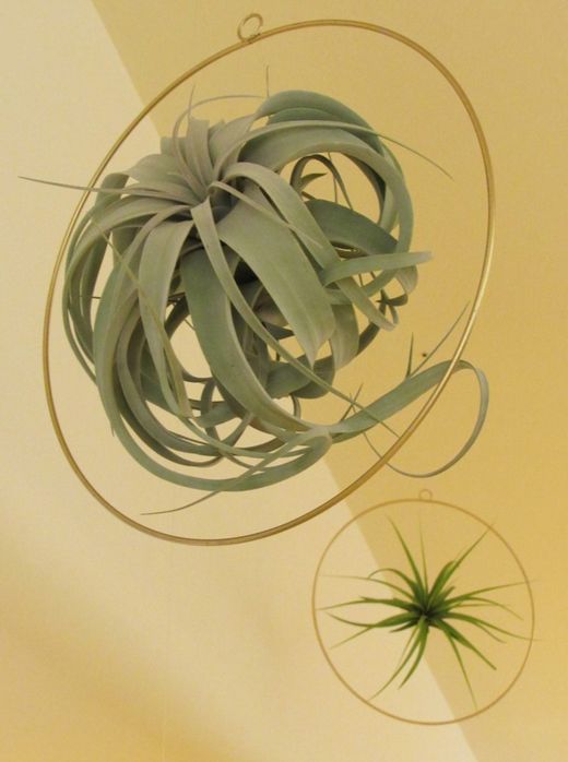 Green circle Ø 20cm