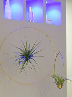 Green circle Ø 20cm