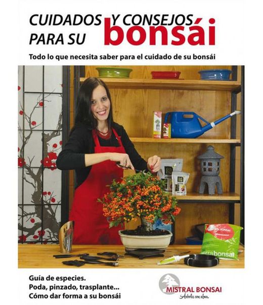 Guía de cuidados y consejos para bonsái