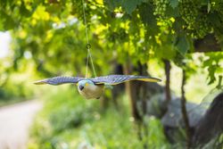 Halcón espantapájaros 54 x 36 x h 9cm Stocker