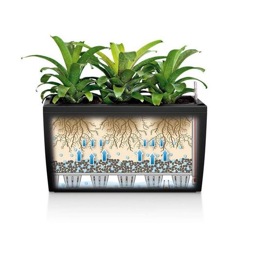 Hidrojardinera lechuza cararo