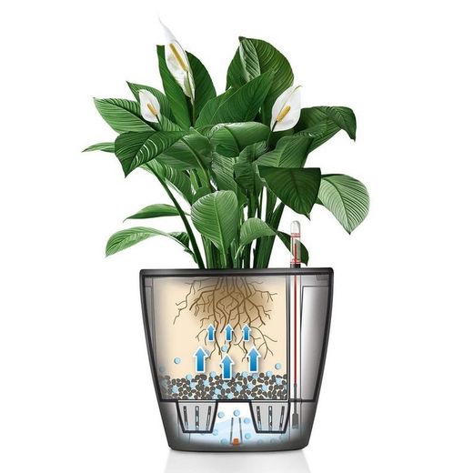 Hidrojardinera lechuza classico