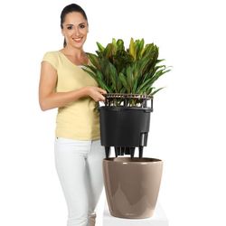 Hidrojardinera lechuza classico