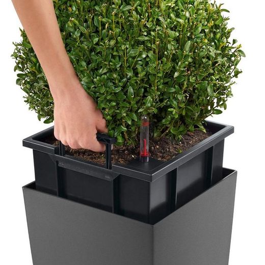Hidrojardinera lechuza cubico