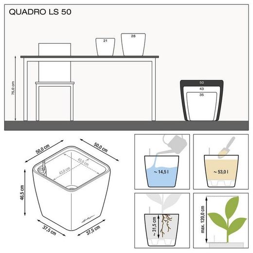 Hidrojardinera lechuza quadro