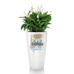 Hidrojardinera lechuza rondo Premium