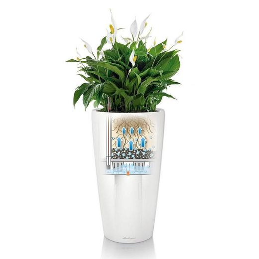 Hidrojardinera lechuza rondo Premium