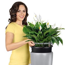 Hidrojardinera lechuza rondo Premium